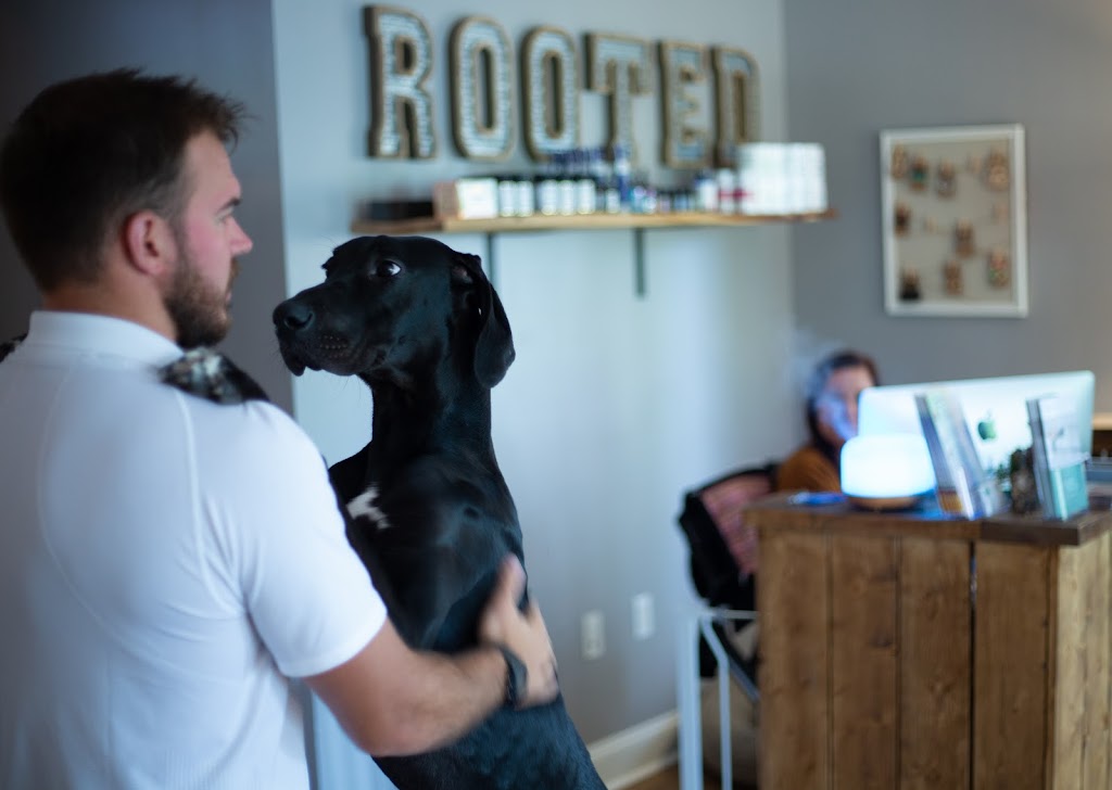 Rooted Living Wellness- Chiropractic, Sports Rehab & Massage Therapy in Bluffton, SC